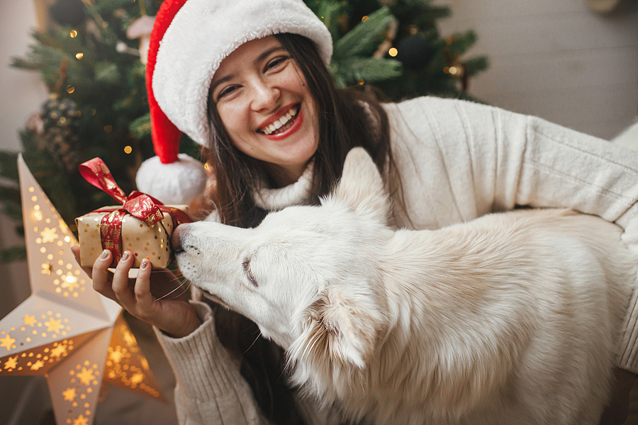 Why is December the Perfect Time to See Your Dentist?